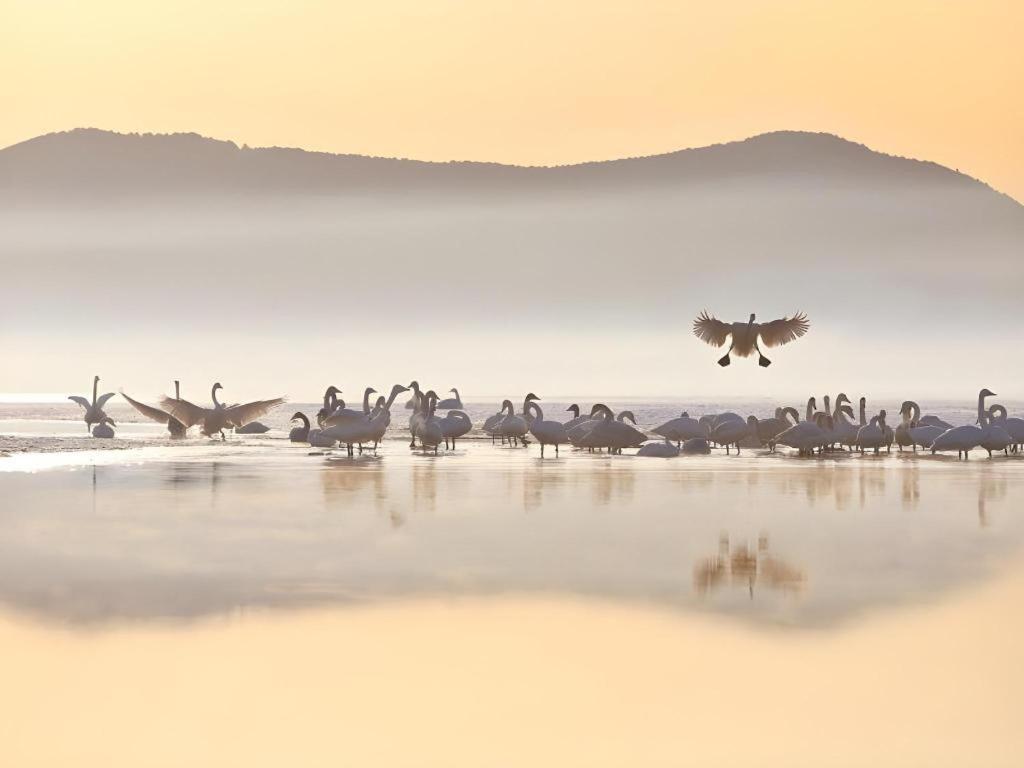 Greentree Inn Weihai Rongcheng Haoyunjiao Tourist Resort Eksteriør bilde